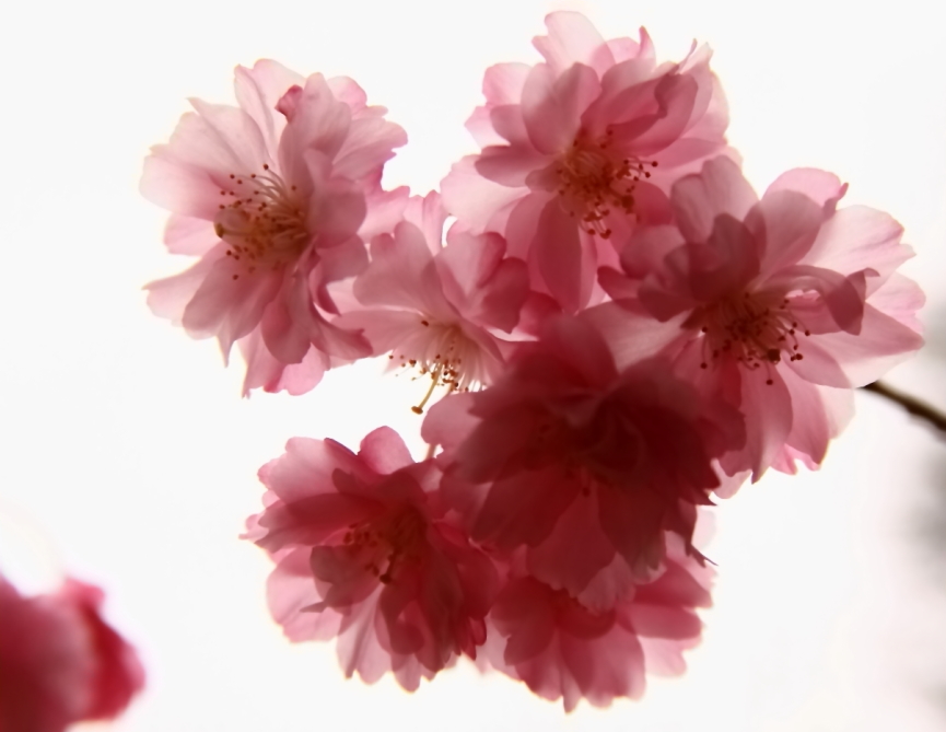 2011 04 22 IMG 28273e